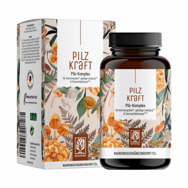 Pilz Komplex mit Hericium Erinaceus (Lions Mane)