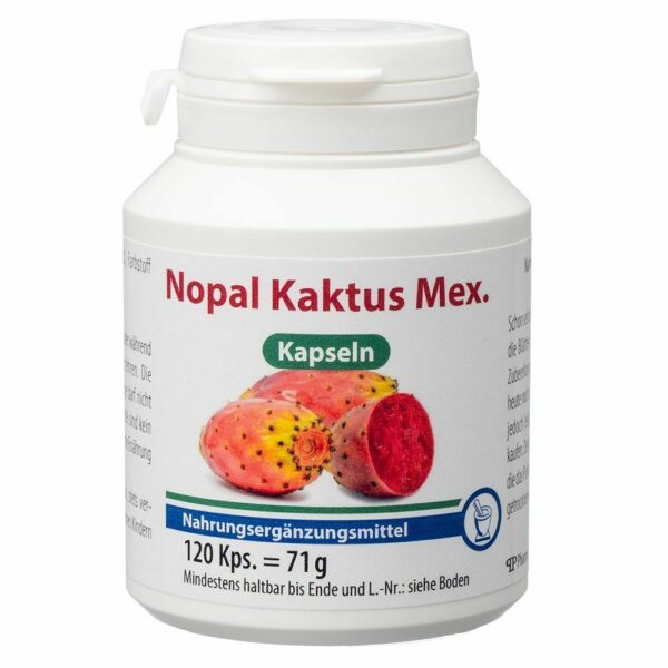 Nopal Kaktus Mex.